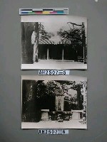 藏品(曲阜孔子廟)的圖片